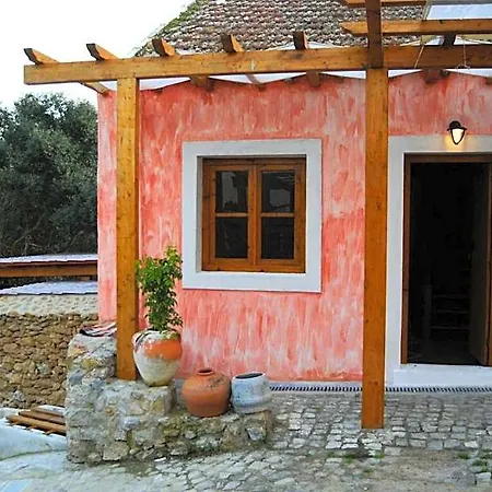 Terra * Santo Isidoro