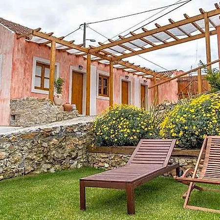 Terra Santo Isidoro